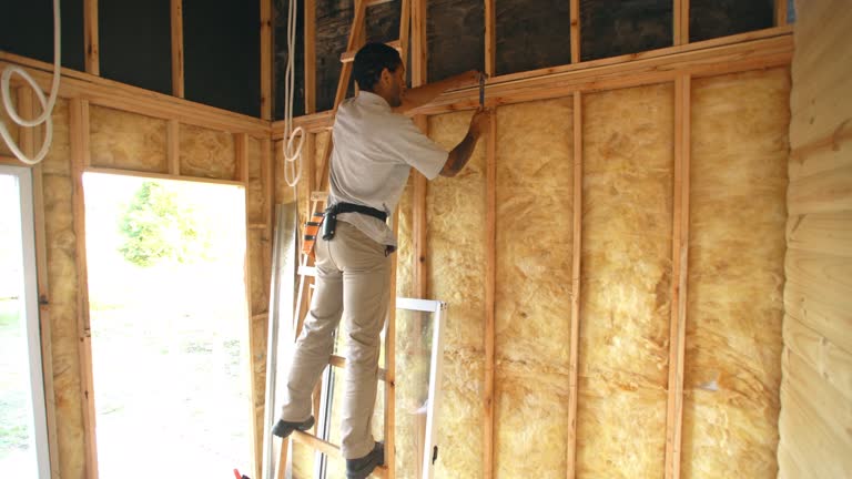 Best Wall Insulation Installation  in Skidmore, TX